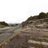 Denniston1