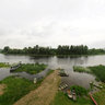 Zasavica Special Nature Reserve, Visitors Tower