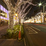Omotesando illumination 2010