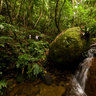 Ruínas do Humaitá (2)