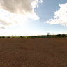 Area prepared for cultivation.