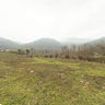 Roadside of Lafoor