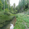 Luxembourg Mullerthal near Consdorf Millen