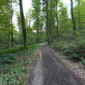 Luxembourg Mullerthal between Hersberg and Consdorf