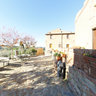 Italy Tuscany Tonda pic1
