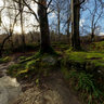 Afon Ogwen near Ogwen banks