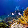 Maldives Gan