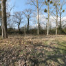 Winter in the back of a field