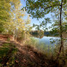 A sunny autumn day at the Lake-Druesen - Ein sonniger Tag am Drüsensee