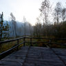 Foggy morning at the Schwarzsee - Nebliger Morgen am Schwarzsee