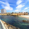 La Jolla Sea Wall, Children's Pool and Seals