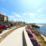 La Jolla Sea Wall View