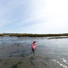 Gull Island between Rt. 35 and NJ Transit RR Bridge