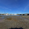 Shark River Island- North Side