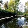 Belgrade Botanical garden
