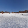 Winter fun in Belgrade 2