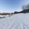Belgrade winter 2012