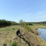 Ugra River