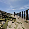 Pier Remains, Horseshoe Cove, Sandy Hook, New Jersey