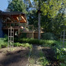 Backyard Garden in Early Fall
