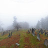 Walpole Cemetery on a foggy fall day