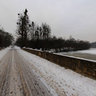 Frozen Pond