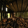 Fire Wood