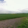 IPhone pano / email test 2