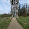 Aussichtsturm in den Linteler Weiden (2)