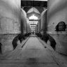 Bodega Cooperativa de Felanitx , Es Sindicat