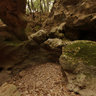 Torrent Orient