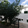 Binibeca Vell Menorca II