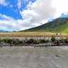 Savana Bukit Teletubis