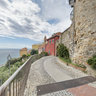 Cervo Wall
