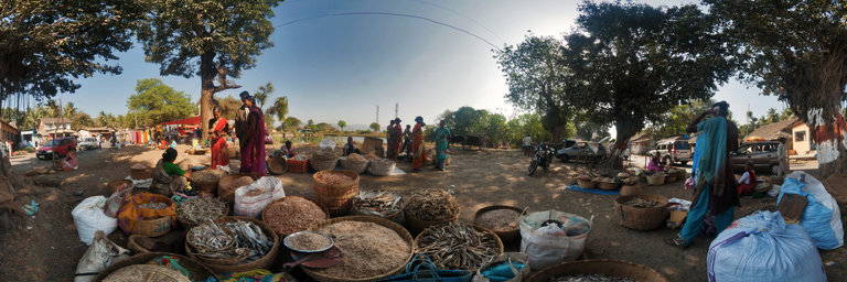 India: Dried Fish Sellers, Nagaon Market