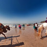 Kashid Beach