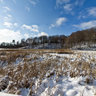 Kortright Centre for Conservation - Boardwalk at Duck Pond