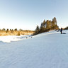 Boyd Park - Toboggan Hill