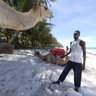 Forty Thieves Camel
