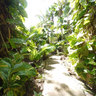 Tropical Garden Diani Beach