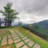Magnolia Tea Garden 2