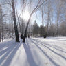 Nature of Kolyvan'