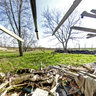 Ruined Shed