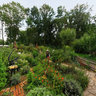 Die Garten Tulln - Bauerngarten (15)