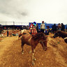 The horse selling area in Bac Ha fair, Vietnam (Chợ ngựa ở chợ phiên Bắc Hà)