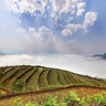 Cloud of Y Ty, Lao Cai (Mây Y Tý)