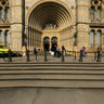 London Museum of Natural History