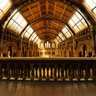 Natural History Museum, London