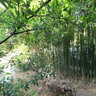 parque Gulbenkian