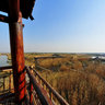 Huzhou(瞭望湿地)325